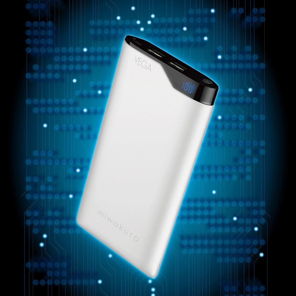 画像_ベガグレー